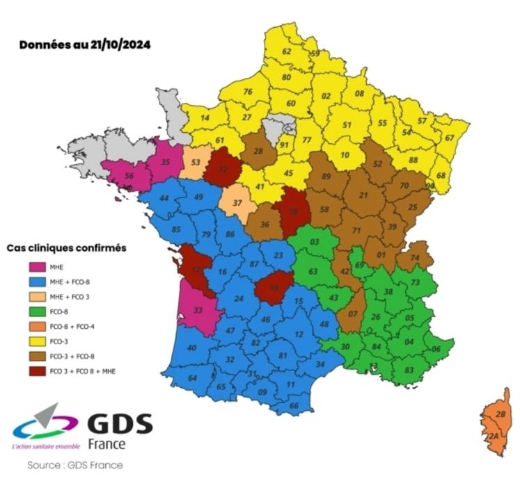 Le Calvados passe en jaune, ce qui symbolise la FCO-3. Un premier cas de FCO-3 a été confirmé sur le département en début de semaine.