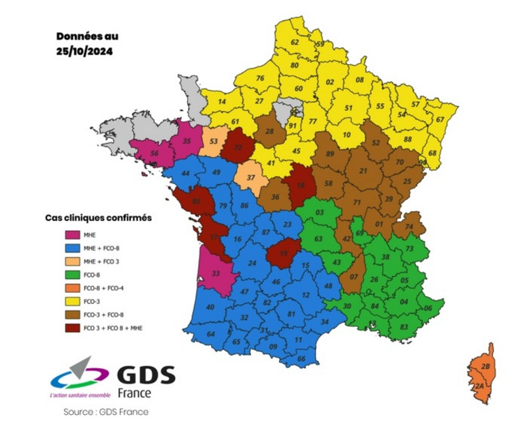 Le Calvados reste en jaune avec un deuxième cas de FCO-3 détecté.