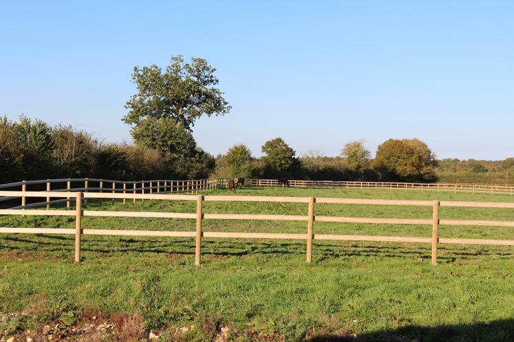 Des prés et des paddocks stabilisés sont utilisés pour que les chevaux puissent sortir tous les jours.