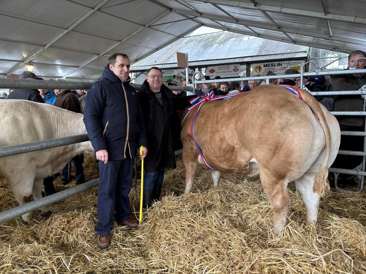 À la vente aux enchères, la Limousine de Maxime Villey, de Beuzeville (27), acquise par la boucherie Mellier de Eu (76), a atteint les 12 €/kg.