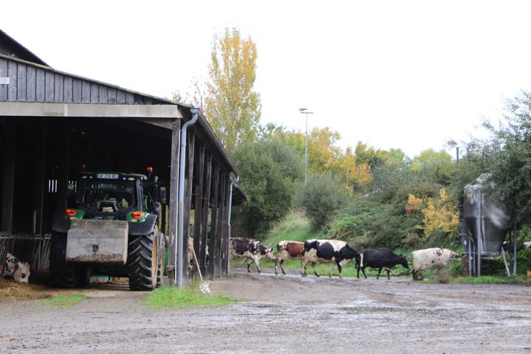 "C'est une ferme typique du bocage", clame Nicolas Filmont, nouveau DEA. Il aimerait trouver un débouché aux déchets de la cantine scolaire, lesquels sont triés mais pas valorisés, via un atelier porcs de Bayeux.