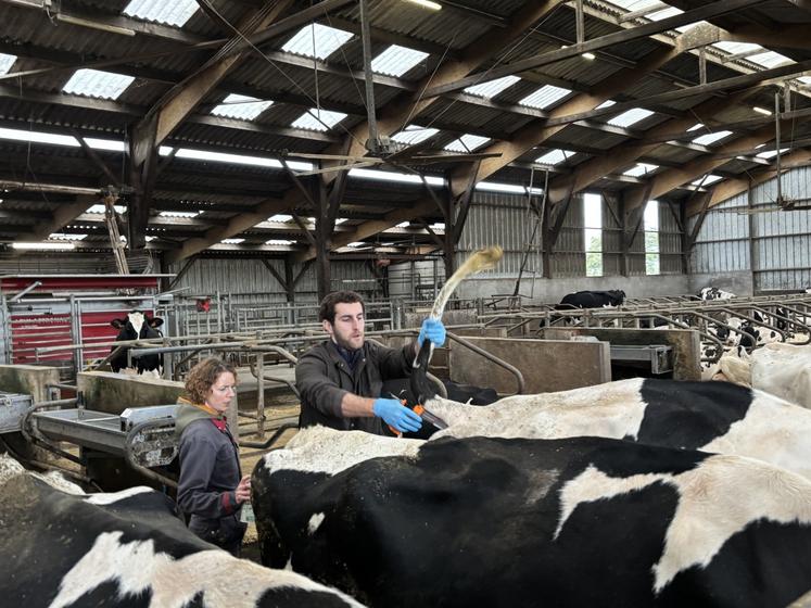 Le vétérinaire, Arnaud Lafforge, référent MHE à l'échelle de la Normandie chez les vétérinaires, a fait le rappel de la vaccination dans l'élevage de Géraldine Dubois.