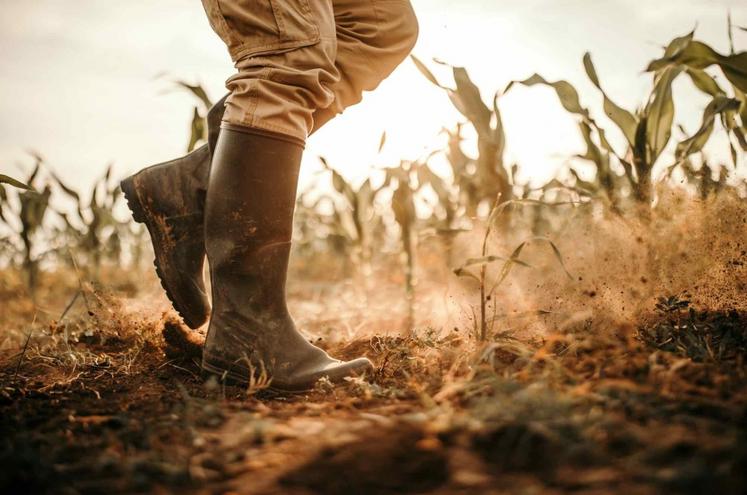 Le syndicalisme agricole majoritaire a œuvré pour une refonte du système assurantiel des cultures, le dispositif des calamités agricoles s'étant essoufflé.