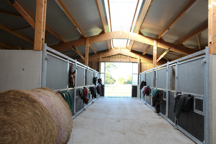 18 chevaux sont en pension à l'écurie des Walkyries. La liste d'attente est longue et il faudra s'armer de patience pour obtenir une place.