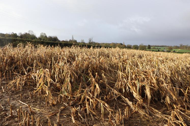 Le syndicalisme agricole majoritaire a œuvré pour une refonte du système assurantiel des cultures, le dispositif des calamités agricoles s'étant essoufflé.