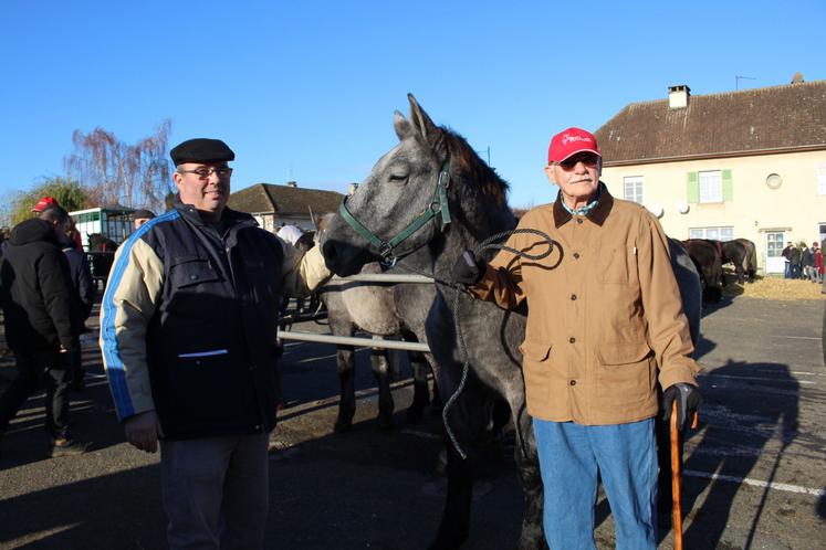 La rhinopneumonie affecte particulièrement les jeunes chevaux.