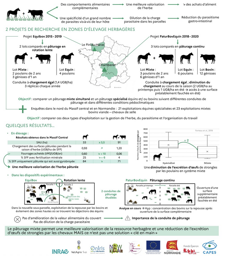 "Le pâturage mixte n'est pas d'une solution 'clé en main'. Chaque élevage doit adapter sa conduite en fonction de son environnement afin de trouver le système qui lui correspond le mieux", rappelle Laurie Briot.