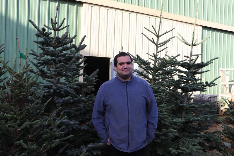 Jean-Baptiste Filmont, 28 ans, produit avec ses parents, associés du Gaec, 50 000 sapins chaque année.