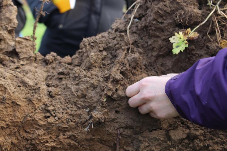 IFPC vergers pommes Sées étude terre pédologie étude terrain