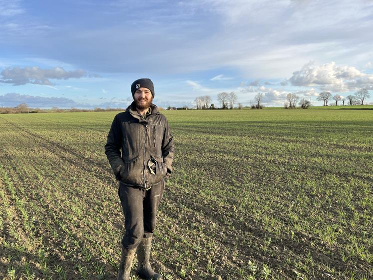 Emmanuel Gilles cultive un méteil de féverole, pois, blé et triticale pour nourrir son troupeau de vaches laitières. Il conserve le mélange en boudins.