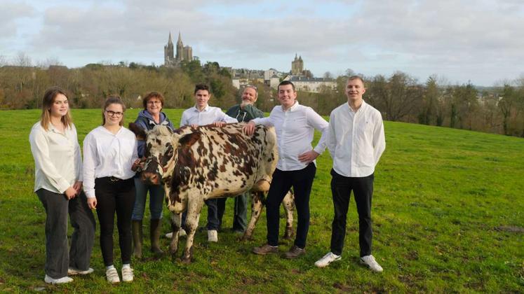 Leona Brindeau, Doreen Legoguelin, Isabelle Guyot, Bastien Hulmer, Bertrand Message, Sosthene Montambault et Mathis Herpe se préparent avec Tempête, au trophée international de l'enseignement agricole qui se déroulera dans le cadre du Salon de l'agriculture fin février.