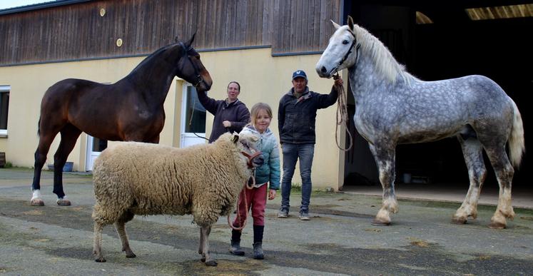 Maeline, 7 ans, est accompagnée de son bélier Avranchin Hulk et de ses parents, éleveurs du Gaec de la Cauvellière, avec Mimosa Cauvellière, Cob normand et Mufasa Clermonteix, Percheron.