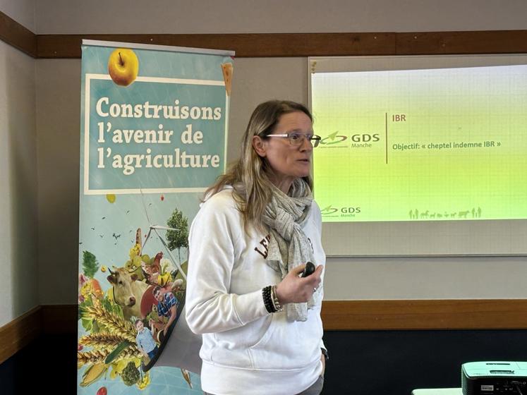 Pour Estelle Hélaine, conseillère du GDS, l'essentiel résulte dans le fait de céder un troupeau en bonne santé.