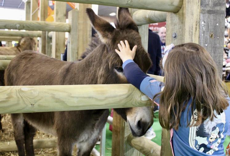 Léonidas a la cotte auprès des plus jeunes.