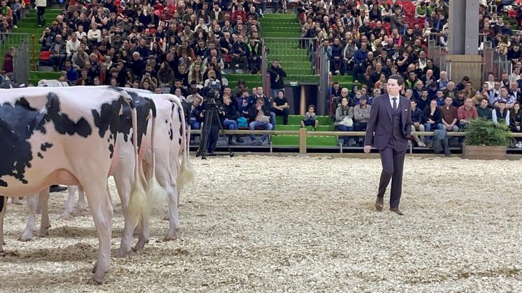 Luc Sassel a jugé pendant près de sept heures l'édition 2025 du concours en race Prim'Holstein au Salon de l'agriculture de Paris.