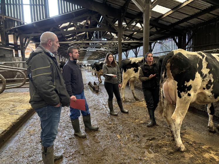 En Prim'Holstein, Alexandre Lebarbenchon et Oriane Guiffard seront en compétition à Paris dans le concours de meilleur pointeur en race Prim'Holstein. La concurrence promet d'être rude une nouvelle fois.