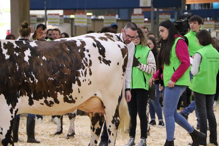 Cette épreuve consiste à évaluer la morphologie des vaches.