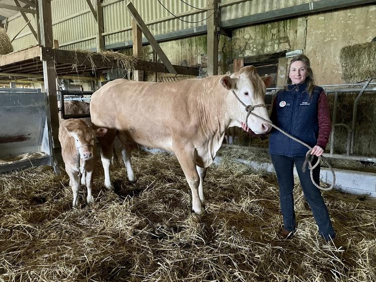 Le Gaec Lorin Bossuyt participe à sa neuvième édition du Salon de l'agriculture 2025 avec une vache suitée, Sybella et son veau.