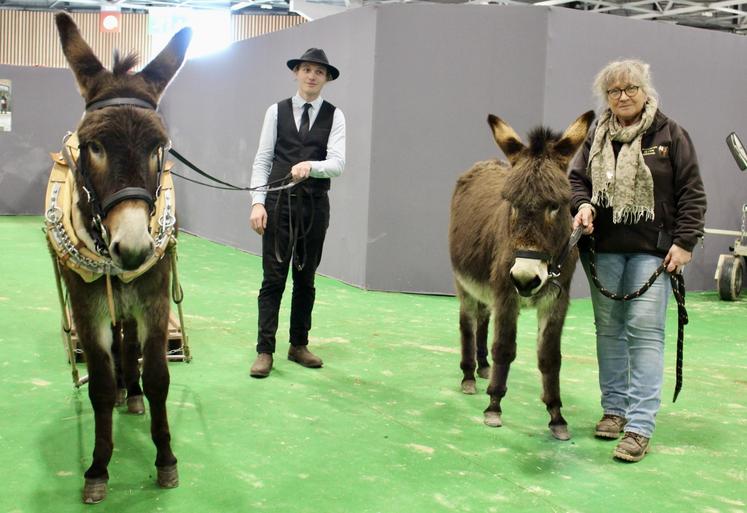 Léonidas Val d'Elle est né dans la Manche, chez Sylvie Cheyrezy, présidente de l'association des ânes normands et éleveuse manchoise. A gauche, Julian Bergeon, agent technique spécialiste asin.