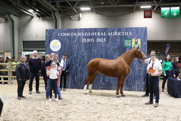 Ce sont les enfants de Mathieu Dubost, Gabin et Antonin (à droite) qui ont présenté la pouliche gagnante lors du concours de Cobs Normands à Paris. Une fierté pour la famille qui élève "le plus léger des chevaux de trait", précise le présentateur quant à la race.