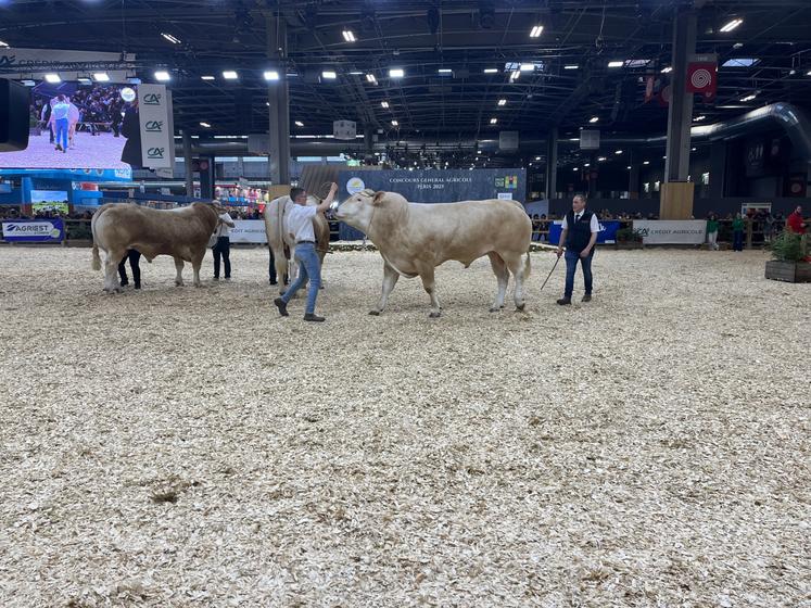 Pour leur première participation, la famille Sallaut du Gaec de la Prise au Renard termine en quatrième position avec leur taureau de 28 mois, Tréport.