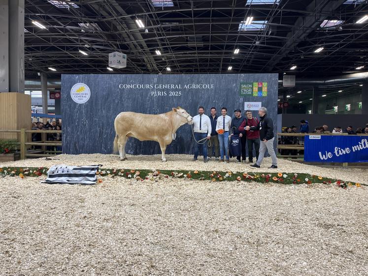 Santa Cruz, Blonde d'Aquitaine dans la section vache de moins de cinq ansn née au Gaec Lorin Bossuyt et achetée par un élevage breton au Space en 2022, a terminé 2e de sa section au Salon international de l'Agriculture.