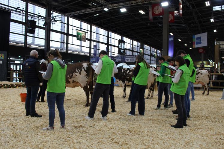 Dix-sept participants ont jugé trois vaches Normandes lors du Trophée du meilleur pointeur de race au Salon international de l'agriculture 2025.