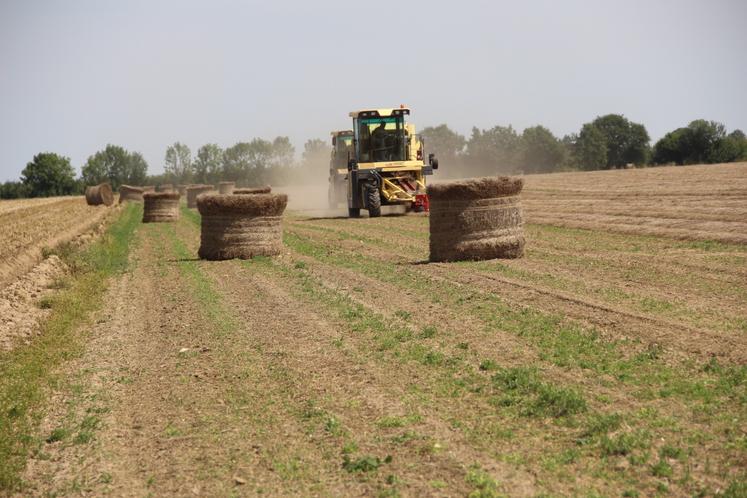 "Il faut faire du lin d'hiver dans les terres à lin d'hiver et du lin de printemps dans les terres à lin de printemps car le marché a besoin de qualité", a insisté Marc Vandecandelaere.