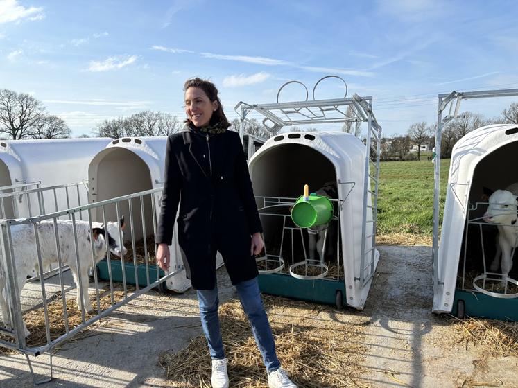 La case individuelle a été remise en cause pour les veaux par le projet de loi sur le bien-être animal.