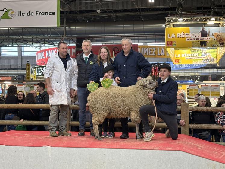 Le bélier ornais du Gaec de la Cauvellière est champion laine en race Avranchin.