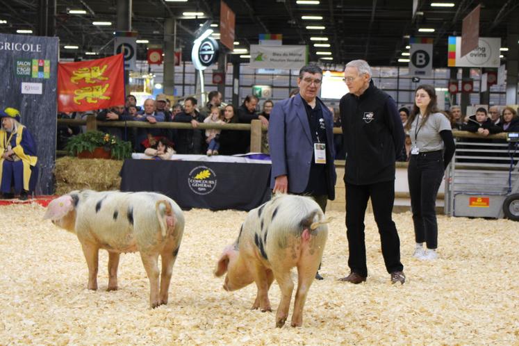 Michel Luquet et Alfonse Van Dartel ont jugé le concours Porcs de Bayeux mardi 25 février.