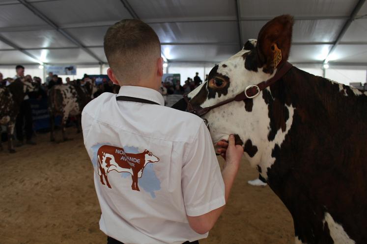 Fête de la Normandie 2025 parc expo Argentan concours jeunes présentateurs