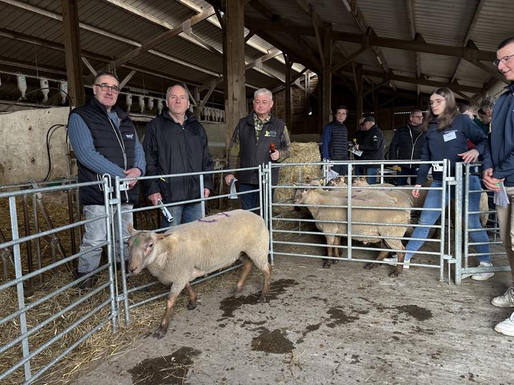 Michel Duquesne (au centre) a vendu son bélier à Sylvain Vivier de Seine- Maritime à hauteur de 800 € lors de la vente aux enchères orchestrée par Loris Vallée, président de la section au sein d'Oscar.