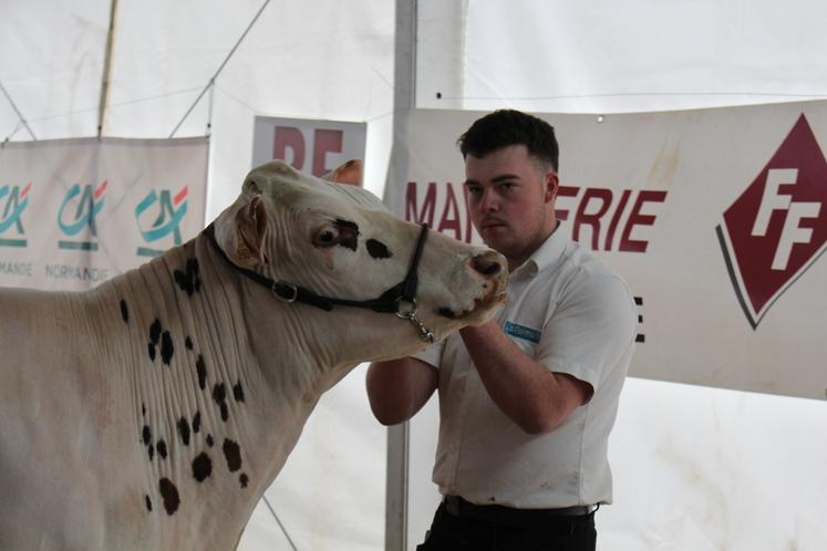 A la Fête de la Normandie 2025 au parc des expositions d'Argentan, Clément Buin, premier de sa section.