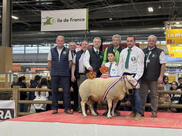 Le bélier n°22024 de Nicolas Avenel est champion viande et champion laine en race Cotentin. Il décroche aussi une 2e place au trophée laine et peau inter-races.