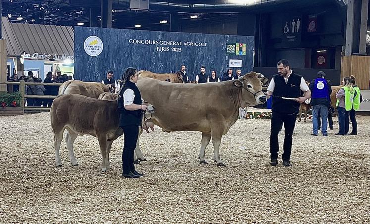 Le 28 février, Christophe Chatel et Valentine Latimier ont présenté Notre Dame et son veau de l'année dans la deuxième section des vaches suitées.