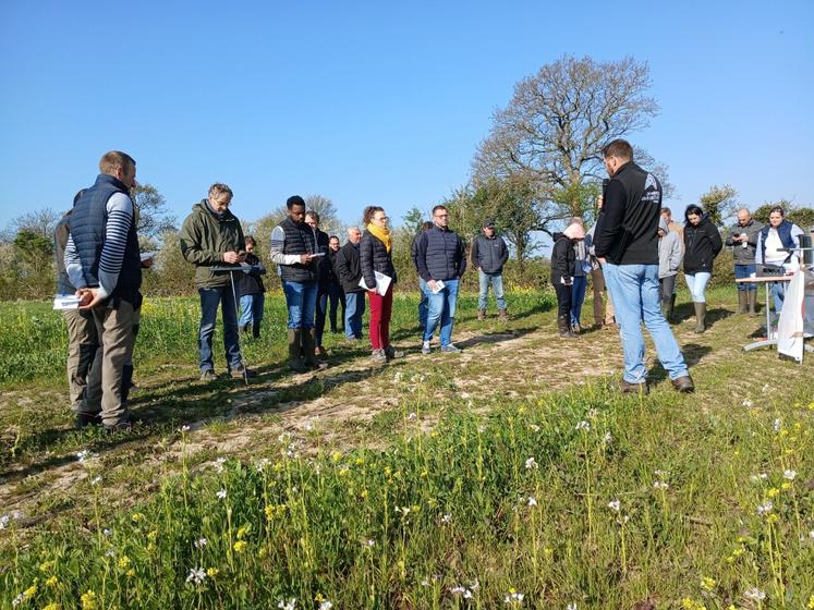 Pendant deux heures, les conseillers de la Chambre d'agriculture de la Manche et les techniciens de fournisseurs ont évoqué les intérêts d'un couvert végétal tardif.