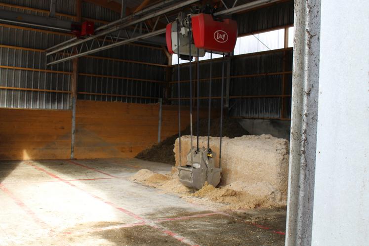 Au menu des génisses : ensilage d'herbe (13-14 % MAT), 1,5 kg (20 MAT 50 % orge) et foin.
