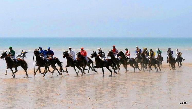 Tout au long de l'après-midi, pas moins d'une centaine de chevaux vont fouler le sable de Jullouville, seul hippodrome marin de Normandie et un des quatre de l'Hexagone.