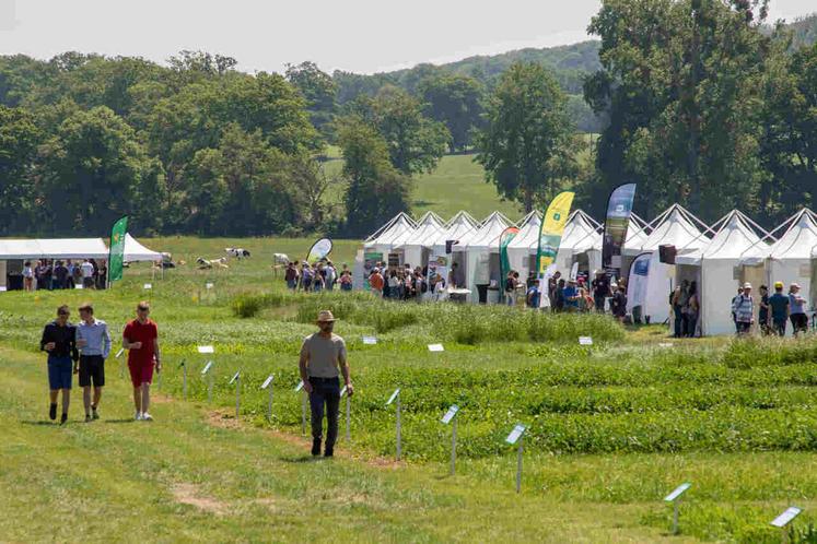 Près de 1 000 visiteurs sont attendus à l'édition 2025 des Prairiales à la Ferme expérimentale La Blanche Maison à Pont-Hébert le 17 juin.