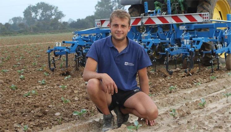 Installé à Valcanville, Thomas Onfroy a été élu à la présidence du GPLM, groupement des producteurs de légumes de la Manche.