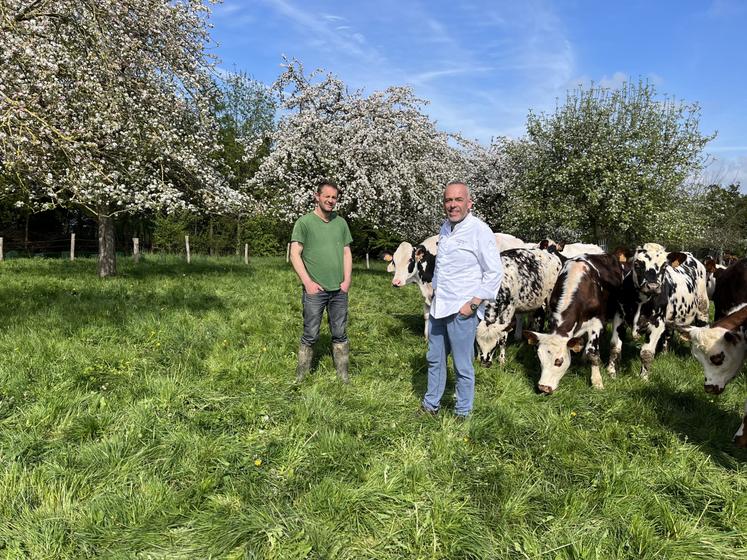 À l'occasion d'une visite aux producteurs fournissant son restaurant, Arnaud Viel a pu échanger avec Anthony Leduc, un éleveur ornais de Normandes et de bœufs normands à Sainte-Marie-la-Robert.