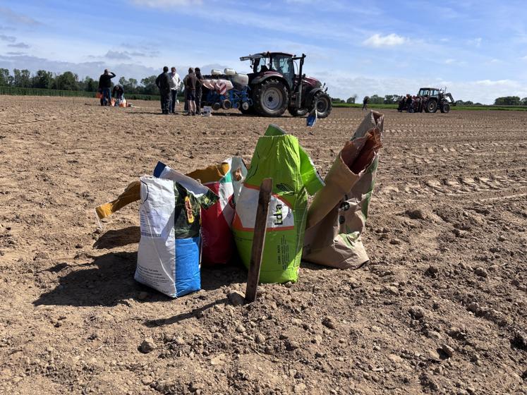 Pas moins de huit semenciers étaient présents le 15 mai dernier à Cretteville, pour procéder aux essais de maïs.