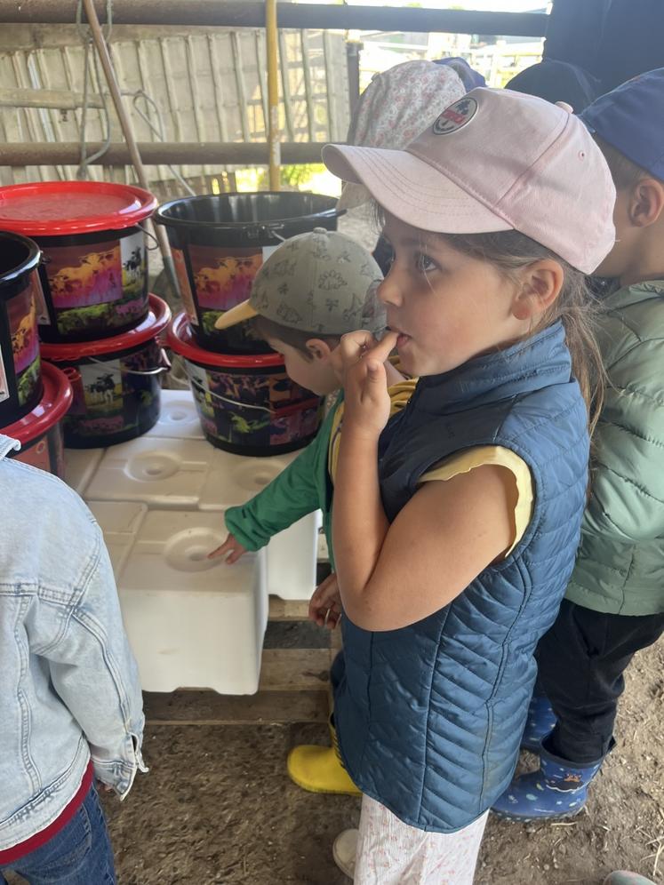 Plusieurs classes de maternelle étaient présentes.
