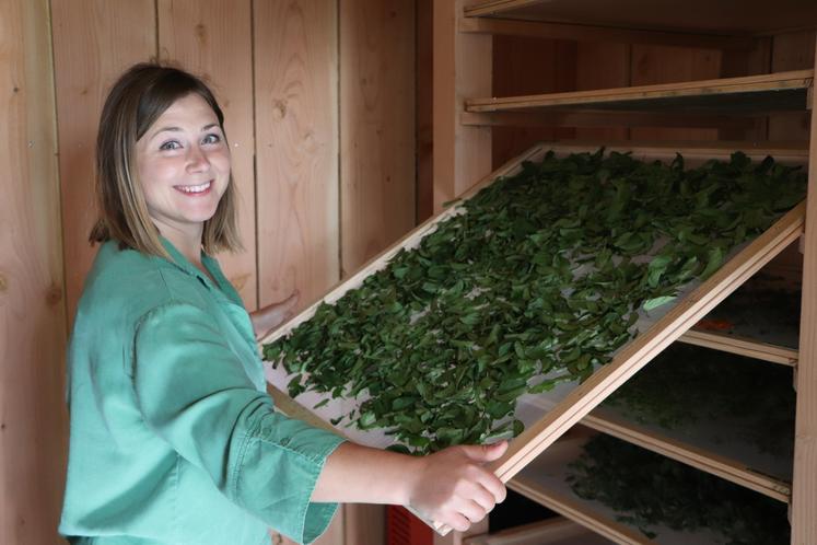 Iulia Khramtsova en mai 2024, au démarrage de la transformation et du séchage de ses plantes (sur un hectare).