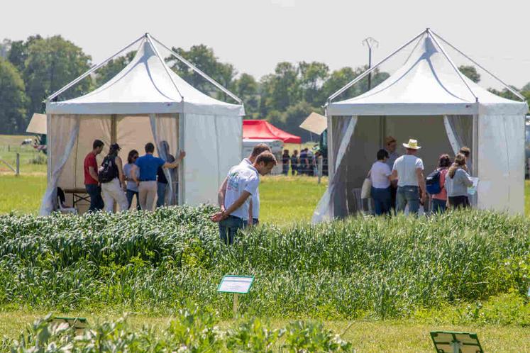 Les Prairiales dévoilent à chaque édition des innovations à destination de tous les acteurs du monde agricole.