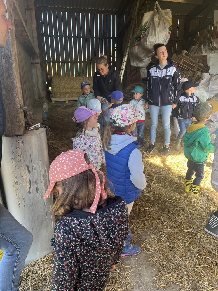 Les élèves ont vu des poules pondeuses et des vaches allaitantes.