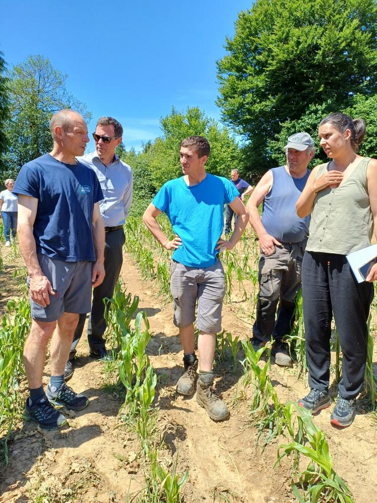 Sur la commune de Ger, les dégâts ont été importants chez des exploitants notamment des jeunes installés.