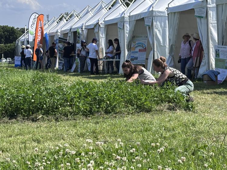 Dès l'entrée sur le site, les visiteurs ont pu découvrir les essais variétaux conduits au sein de la Blanche Maison.