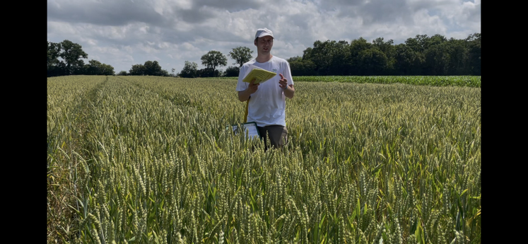 Les rotations en test expliquées par Gabriele Fortino, référent de la Chambre d'agriculture.